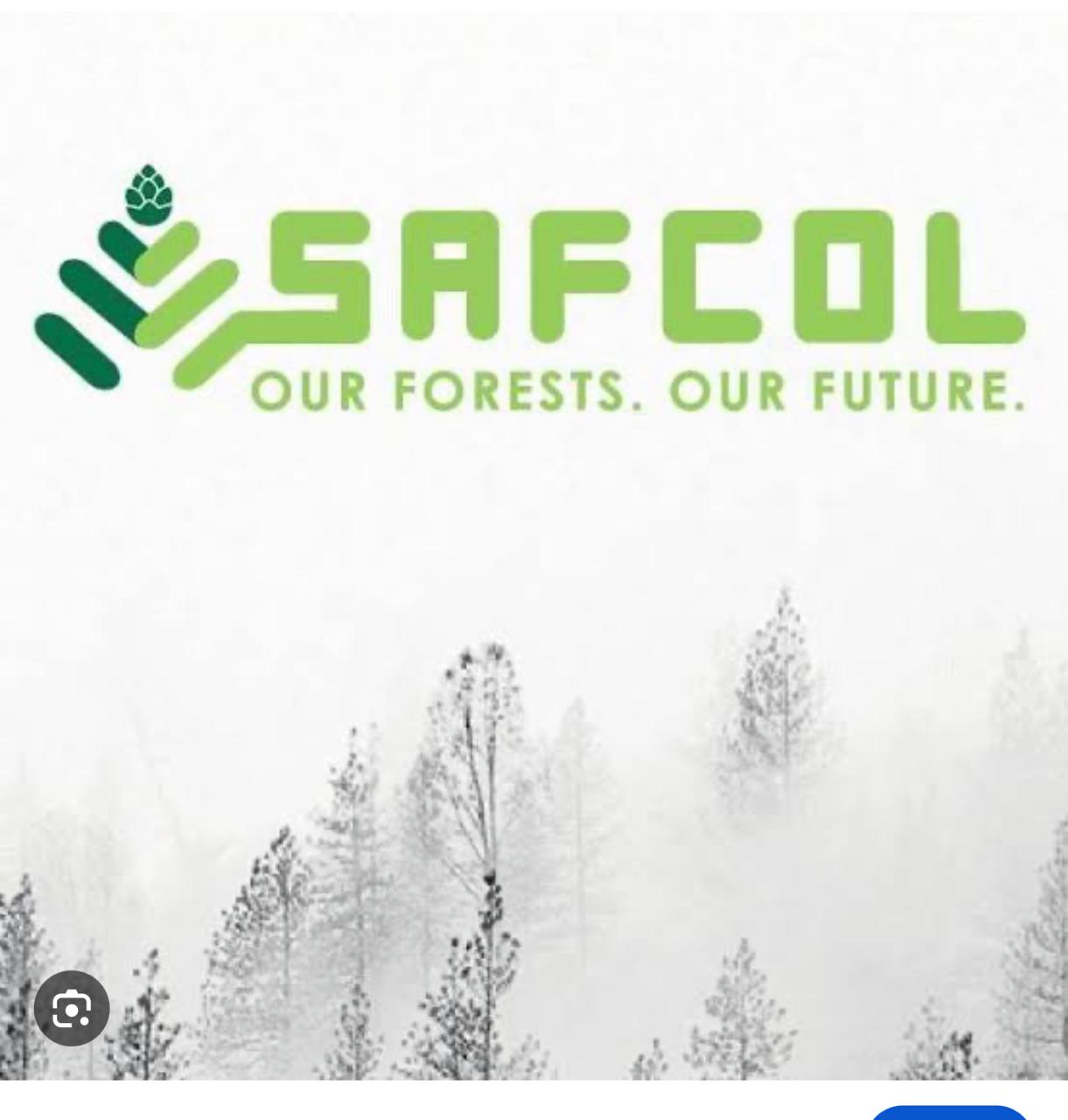 SAFCOL logo